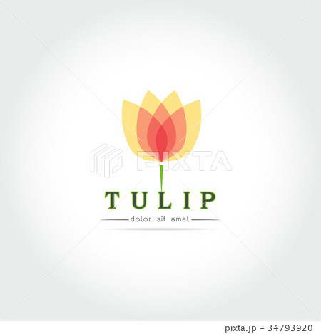 Simple Tulip bud with leaves design 34793920