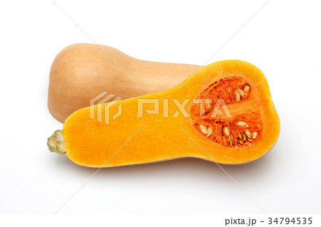 カボチャ バターナッツ カボチャ バターナッツ 34794535