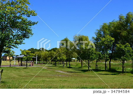 県営筑後広域公園 九州新幹線筑後船小屋駅前の風景 県営筑後広域公園 九州新幹線筑後船小屋駅前の風景 34794584