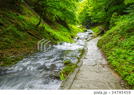 名勝 猿尾滝へと続く道(兵庫県美方郡香美町村岡区日影) ※作品コメント欄に撮影位置情報有り 名勝 猿尾滝へと続く道(兵庫県美方郡香美町村岡区日影) ※作品コメント欄に撮影位置情報有り 34795459