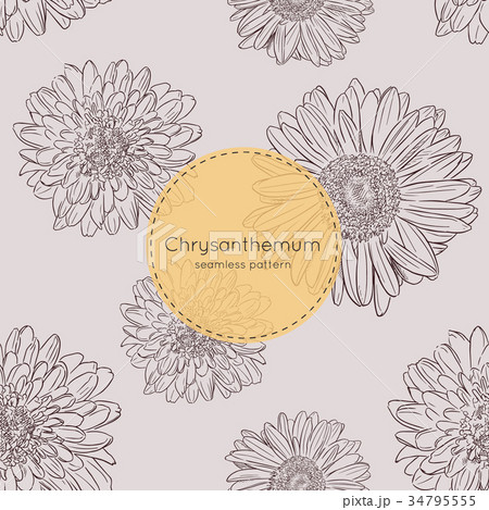 Seamless pattern with chrysanthemum flowers.  34795555
