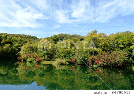 色づき始めの鎌池 北安曇郡小谷村 色づき始めの鎌池 北安曇郡小谷村 34796912