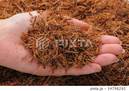 ウッドチップ ウッドチップ 34798292