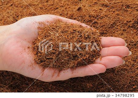 ウッドチップ ウッドチップ 34798295