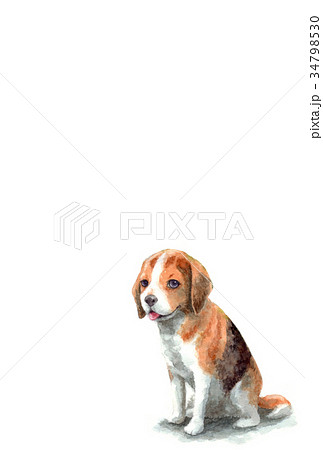 犬のハガキ素材ビーグル犬タテ型のイラスト素材