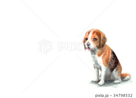 犬のハガキ素材ビーグル犬ヨコ型のイラスト素材