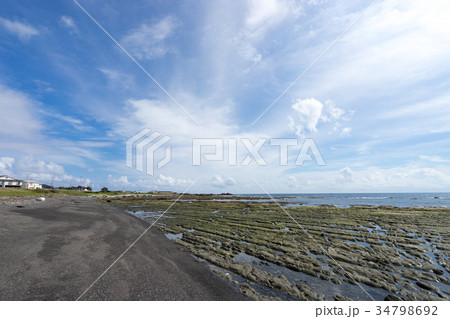 千葉・南房総の海岸沿いの風景 34798692