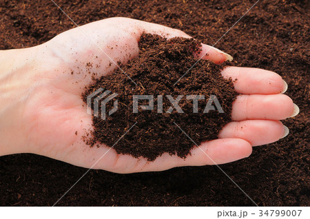 肥料 堆肥 肥料 堆肥 34799007