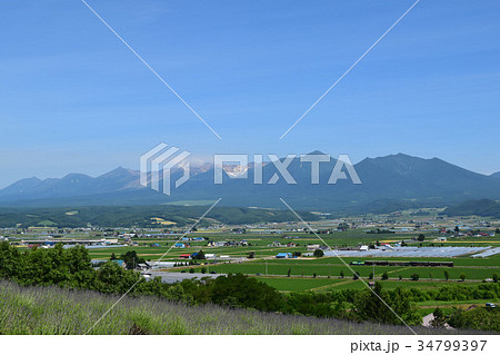 中富良野の景観 中富良野の景観 34799397