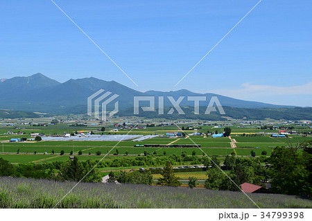 中富良野の景観 34799398