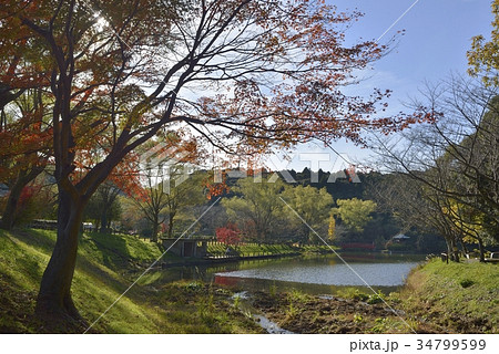 紅葉 34799599