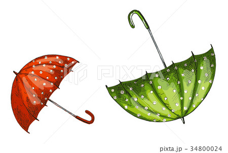 Two opened green and red umbrellas isolated  34800024