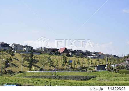 郊外の住宅地 34800305