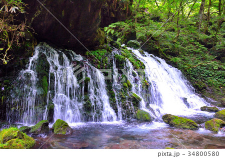 鳥海山　元滝伏流水 34800580