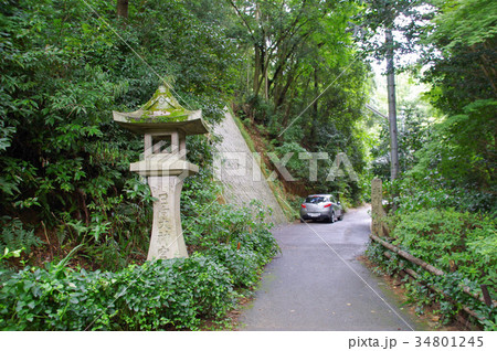 大日向大神宮参道 大日向大神宮参道 34801245