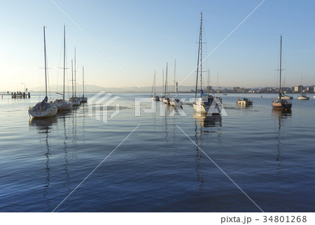 早朝の滋賀県大津市柳が崎ヨットハーバーを撮影したもの 早朝の滋賀県大津市柳が崎ヨットハーバーを撮影したもの 34801268