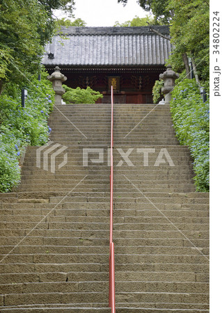 真間山弘法寺　仁王門　市川　千葉 34802224