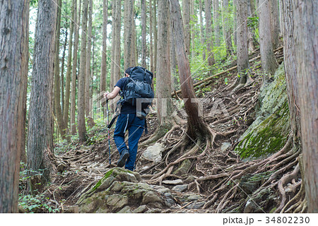 登山 34802230