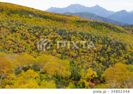 乗鞍岳の紅葉 乗鞍岳の紅葉 34802348