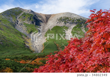 乗鞍岳の紅葉 34802349