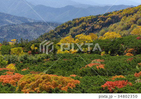 乗鞍岳の紅葉 乗鞍岳の紅葉 34802350