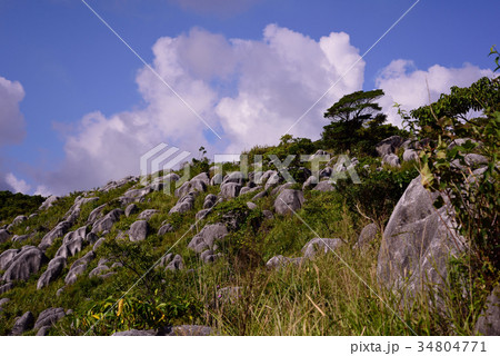 秋の平尾台 34804771
