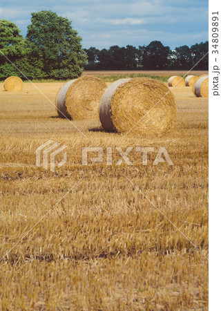 Hay bails harvesting in golden field landscape Hay bails harvesting in golden field landscape 34809891