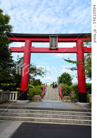 亀戸天神の鳥居　東京都江東区 34810994