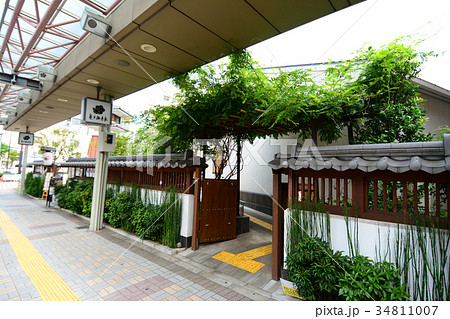 道の駅　亀戸梅屋敷　東京都江東区 34811007