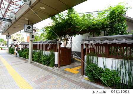 道の駅 亀戸梅屋敷 東京都江東区 道の駅 亀戸梅屋敷 東京都江東区 34811008