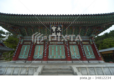 植物 屋外 室外 34812234