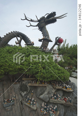 植物 屋外 室外 34812246