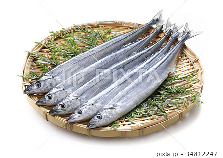 さんま 34812247