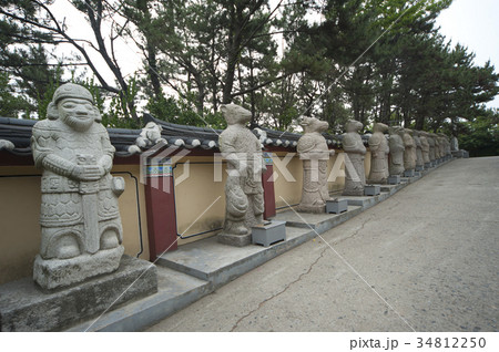 植物 屋外 室外 34812250