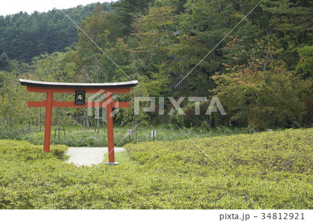 忍野　しのびの里 34812921