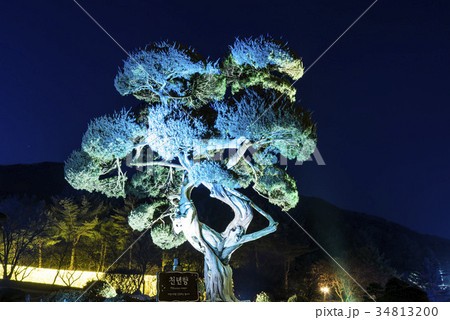 照明 夜景 公園 34813200