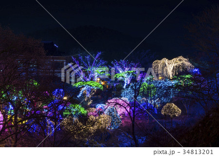 照明 夜景 公園 34813201