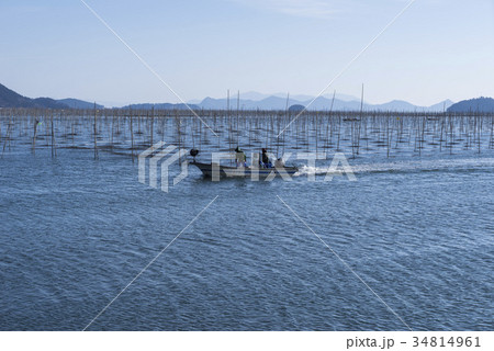 風景 メセンイ メセンイ養殖場 34814961