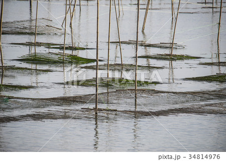 全羅南道 韓国 養殖場 34814976