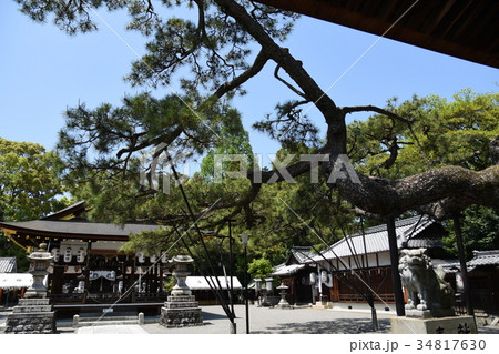 立木神社 立木神社 34817630