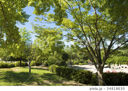 日岡山公園　芝生と遊具 34818630