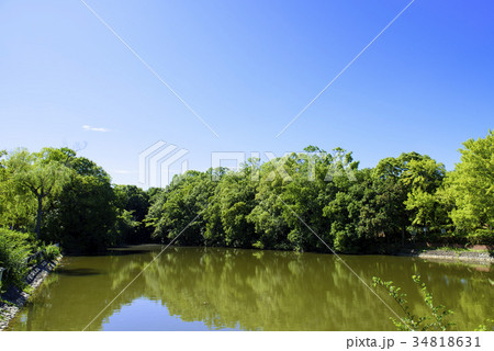 日岡山公園の池 34818631