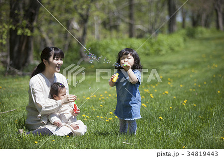 芝生で遊ぶ親子の写真素材