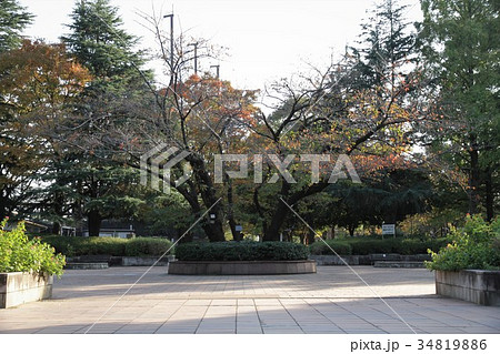 神奈川県大和市　引地台公園 34819886