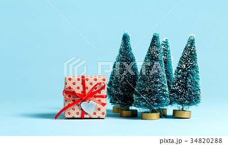 Gift box with miniature Christmas trees 34820288