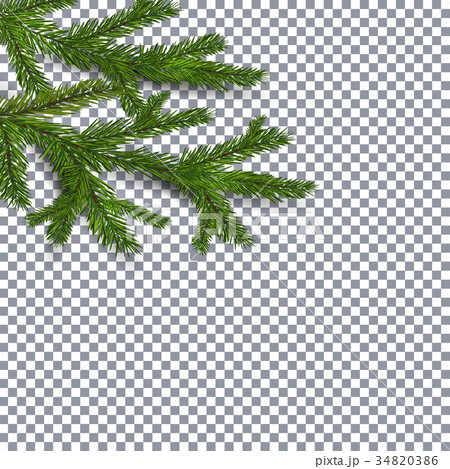 Symbol of the New Year and Christmas. two green 34820386