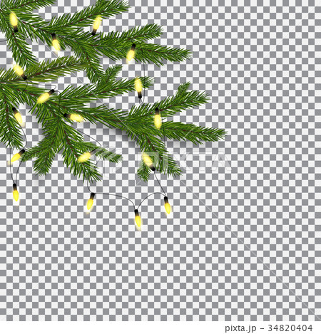 Symbol of the New Year and Christmas. two green Symbol of the New Year and Christmas. two green 34820404