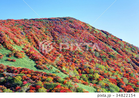 那須　朝日岳の紅葉 34822154