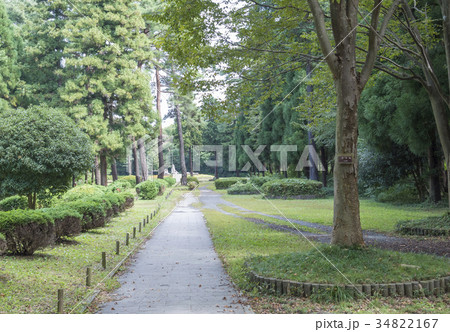 緑豊かな智光山公園の遊歩道(埼玉県狭山市) 緑豊かな智光山公園の遊歩道(埼玉県狭山市) 34822167