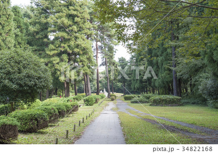 緑豊かな智光山公園の遊歩道(埼玉県狭山市) 緑豊かな智光山公園の遊歩道(埼玉県狭山市) 34822168